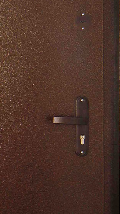Дверь порошковое напыление и ламинат 07 Дверь порошковое напыление и ламинат 07