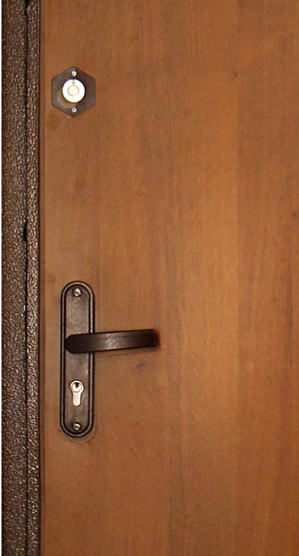 Дверь порошковое напыление и ламинат 07 Дверь порошковое напыление и ламинат 07