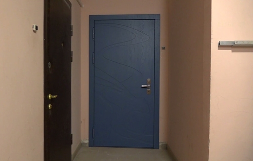 Установленная дверь Установленная дверь