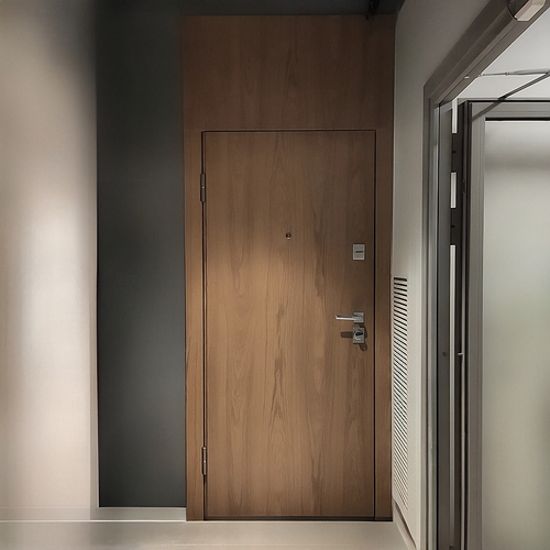 Нестандартная дверь с МДФ «орех» для квартиры Нестандартная дверь с МДФ «орех» для квартиры