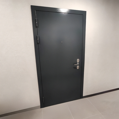 Порошковая дверь в квартиру Порошковая дверь в квартиру