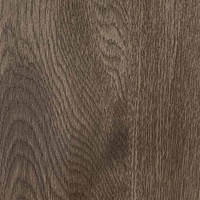 Grey oak Grey oak