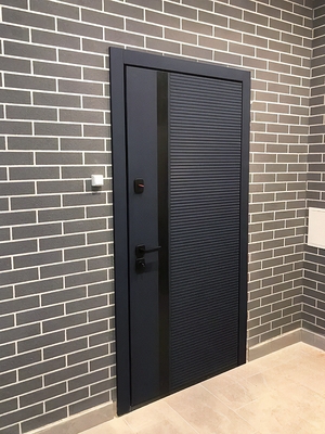 Квартирная дверь с черной полосой Квартирная дверь с черной полосой