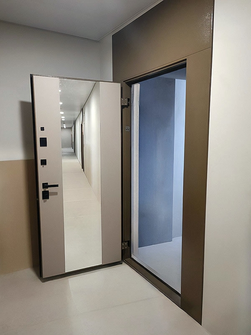 Нестандартная дверь с зеркалом Нестандартная дверь с зеркалом