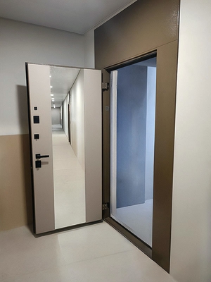 Нестандартная дверь с зеркалом Нестандартная дверь с зеркалом