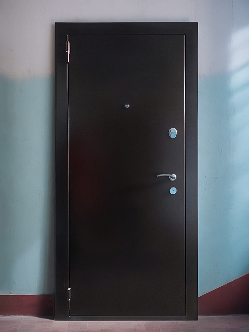 Порошковая дверь для квартиры Порошковая дверь для квартиры