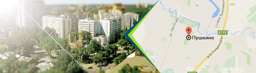 Двери в Пушкино