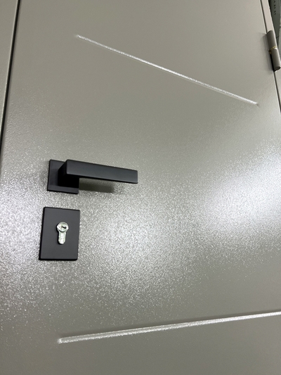 Новинка в мае: трехконтурная дверь с рисунком на металле