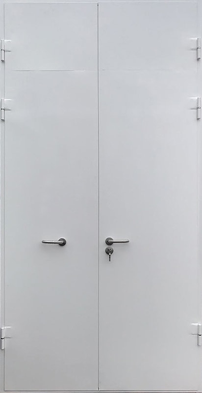 Нестандартная техническая дверь Нестандартная техническая дверь