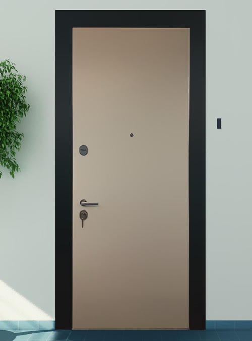 Входная дверь в квартиру Входная дверь в квартиру