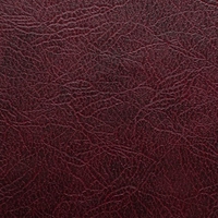 Вишня эконом Вишня эконом