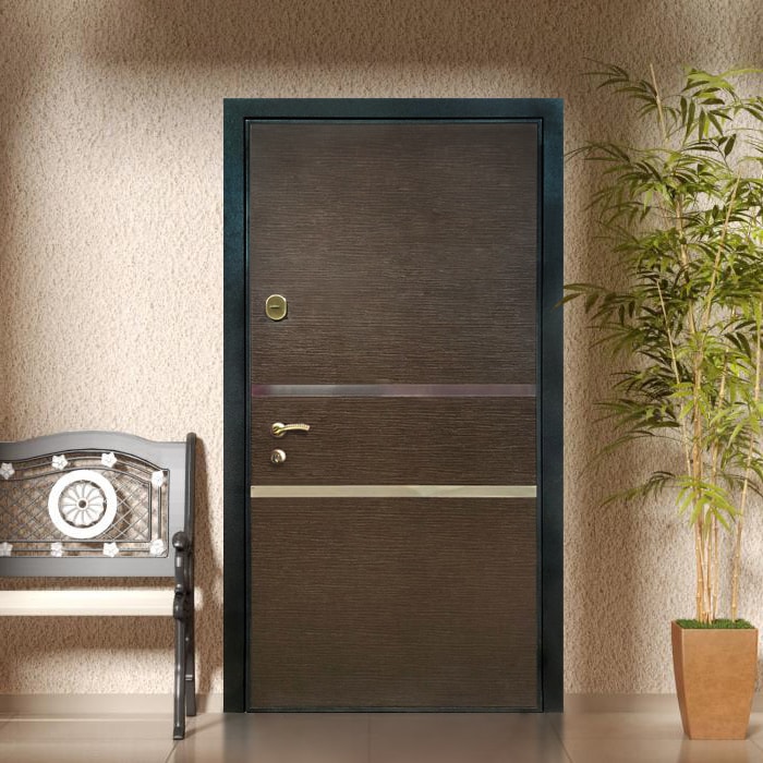 Дверь с хромированными вставками Дверь с хромированными вставками