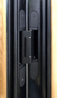 Скрытая петля Скрытая петля